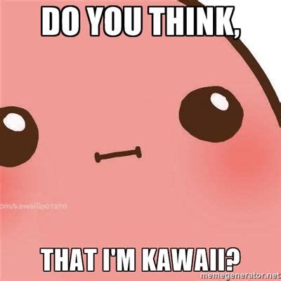 feel cute meme|funny kawaii memes.